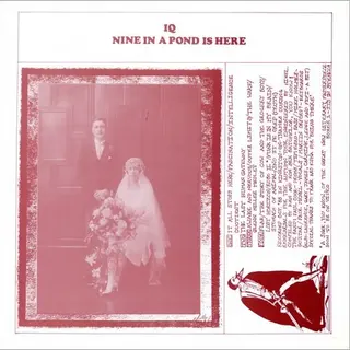 Cover of Nine in a Pond Is Here