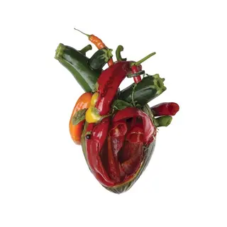 Cover of Torn Arteries