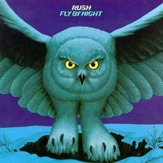 Cover of Fly by Night