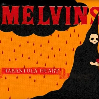 Cover of Tarantula Heart