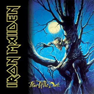 Cover of Fear of the Dark
