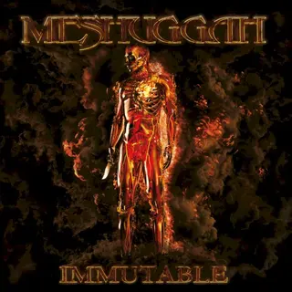 Cover of Immutable