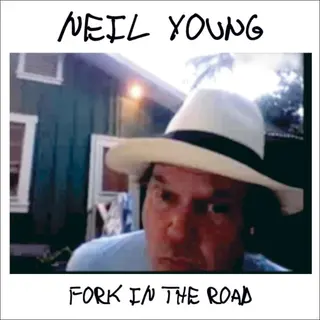 Cover of Fork in the Road