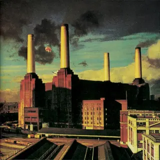 Cover of Animals