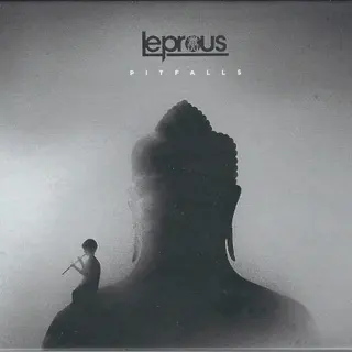 Cover of Pitfalls