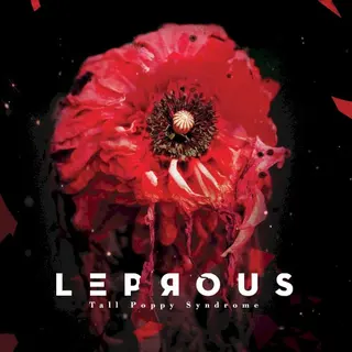 Cover of Tall Poppy Syndrome