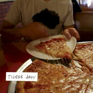 Cover of Tigers Jaw