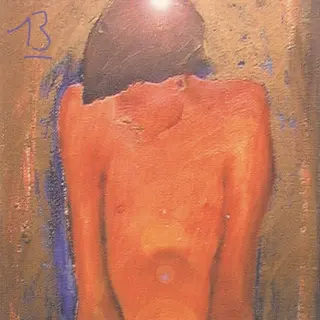 Cover of 13