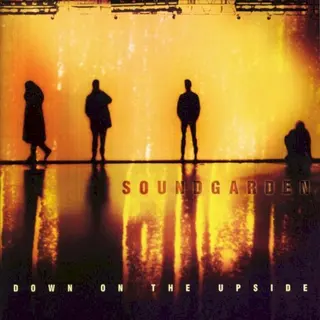 Cover of Down on the Upside
