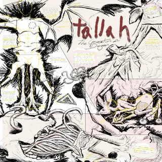 Cover of The Generation of Danger