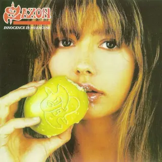 Cover of Innocence Is No Excuse