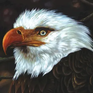 Cover of The Hawk Is Howling