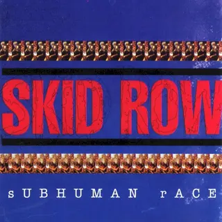 Cover of Subhuman Race