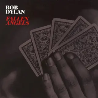 Cover of Fallen Angels
