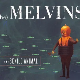 Cover of (A) Senile Animal