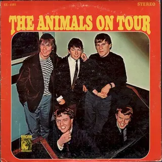 Cover of The Animals on Tour
