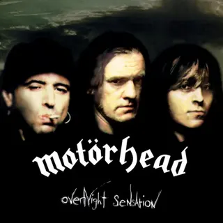 Cover of Overnight Sensation