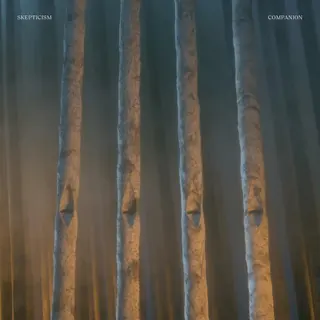 Cover of Companion