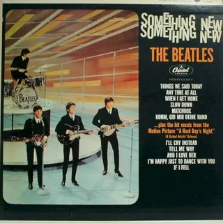 Cover of Something New