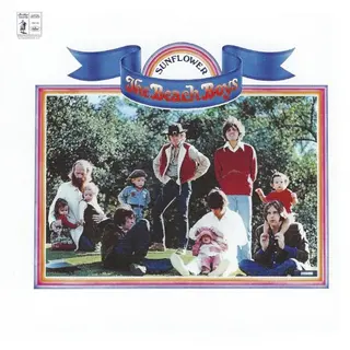 Cover of Sunflower