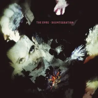 Cover of Disintegration