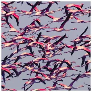 Cover of Gore