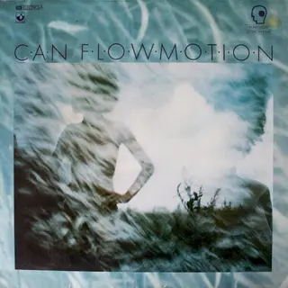 Cover of Flow Motion