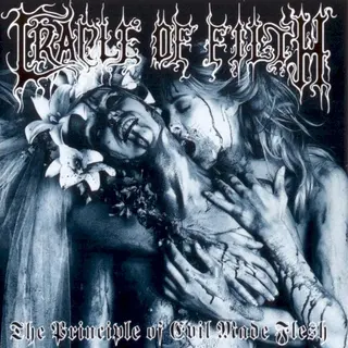 Cover of The Principle of Evil Made Flesh