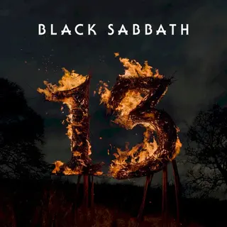 Cover of 13