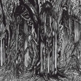 Cover of Black One