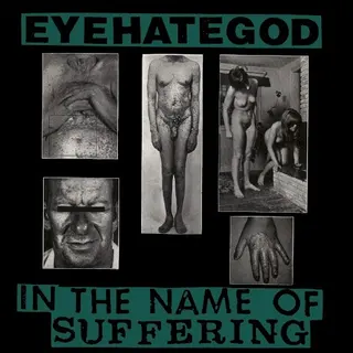 Cover of In the Name of Suffering