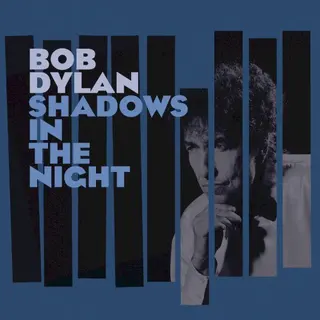 Cover of Shadows in the Night