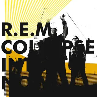 Cover of Collapse Into Now