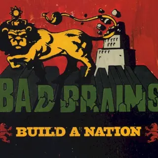 Cover of Build a Nation