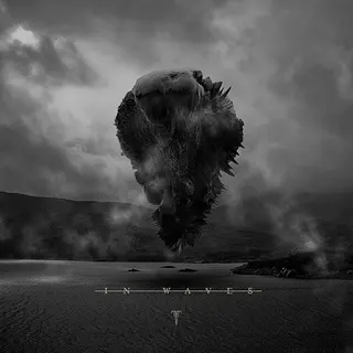 Cover of In Waves
