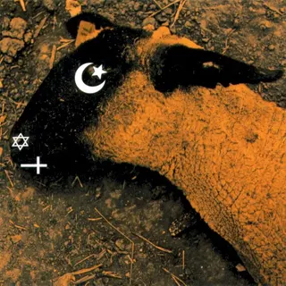 Cover of Animositisomina
