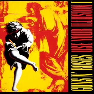 Cover of Use Your Illusion I