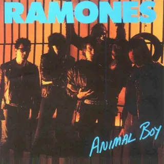 Cover of Animal Boy