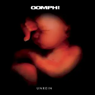 Cover of Unrein