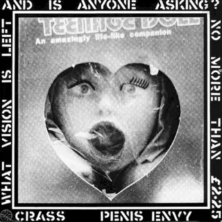 Cover of Penis Envy