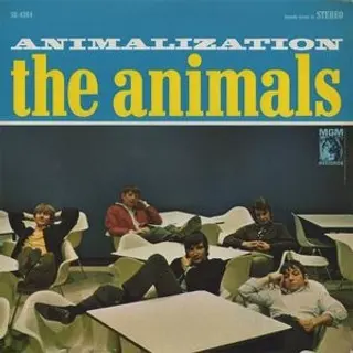 Cover of Animalization