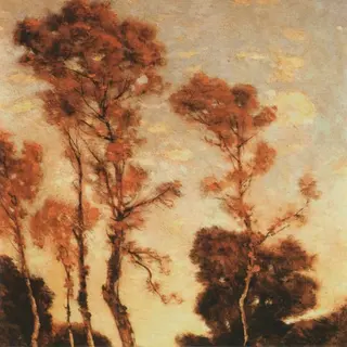 Cover of Autumn Aurora