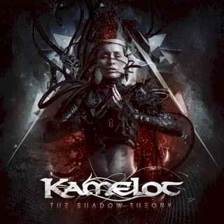 Cover of The Shadow Theory
