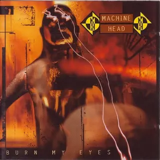 Cover of Burn My Eyes