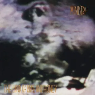 Cover of The Land of Rape and Honey