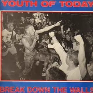 Cover of Break Down the Walls