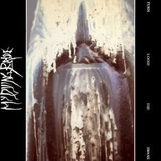 Cover of Turn Loose the Swans