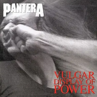 Cover of Vulgar Display of Power