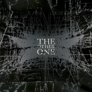 Cover of THE OTHER ONE