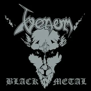 Cover of Black Metal
